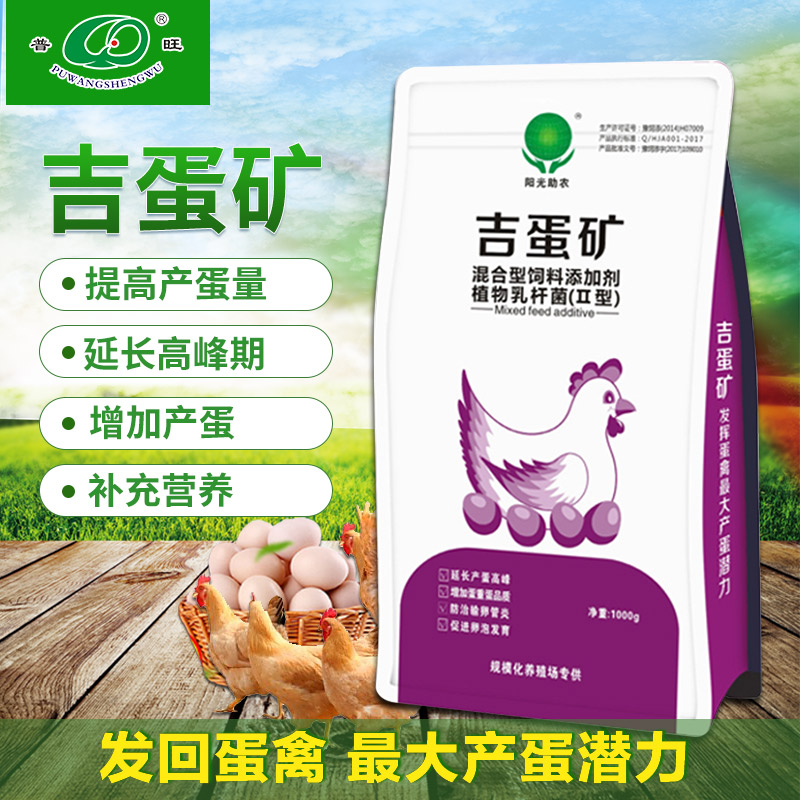 禽用吉蛋礦 禽藥廠家批發(fā)直銷(xiāo)