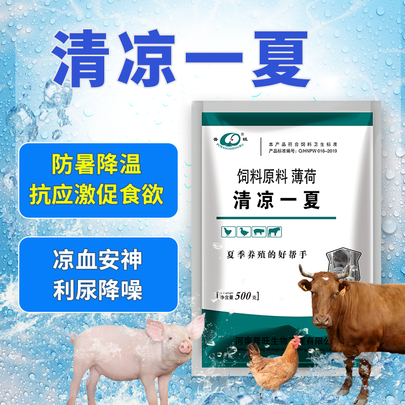 普旺獸藥廠家清涼一夏清熱解暑降溫抗應激