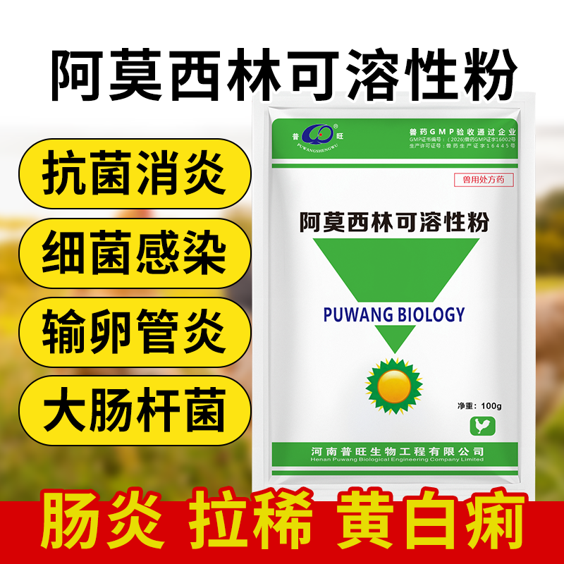 阿莫西林呼吸系統感染必尿系統感染全身感染畜禽通用
