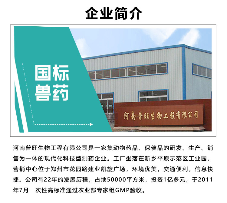 企業簡介